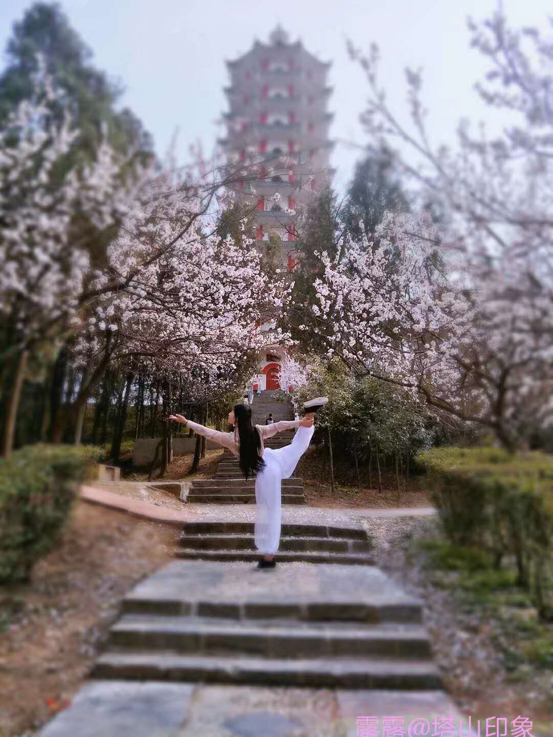	袁路瑶（山东省临沂市兰陵县）